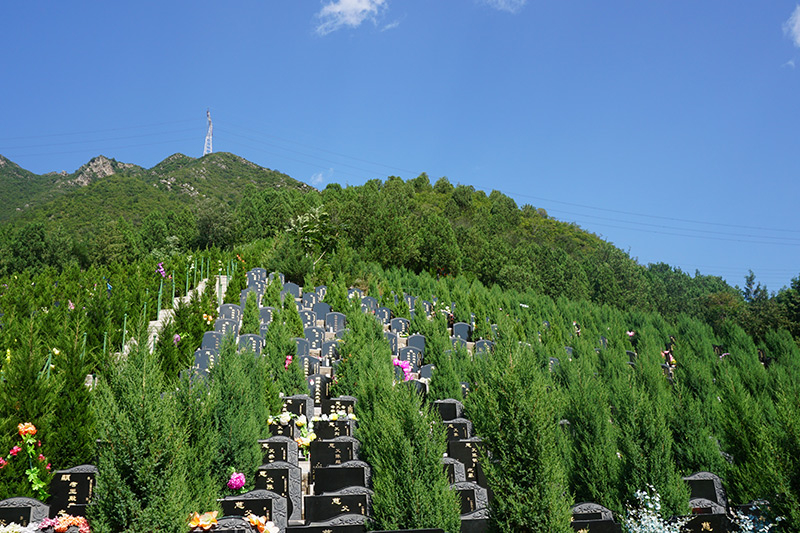 北京佛山陵园好不好(哪一片值得买)
