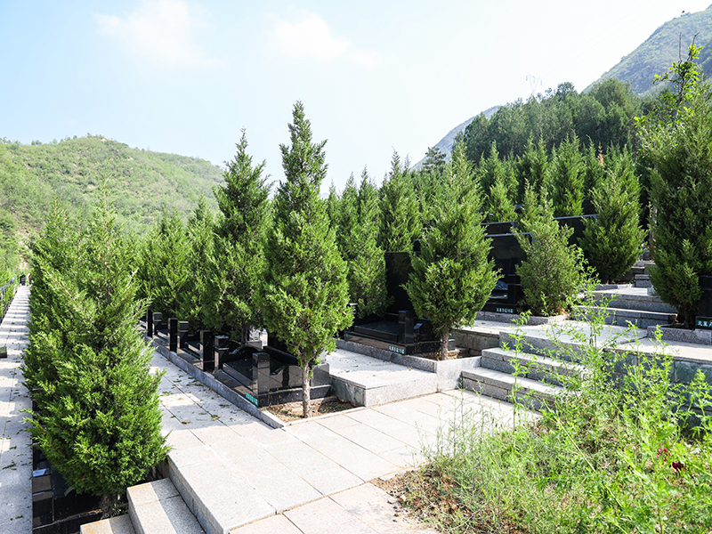 佛山陵园可以正常扫墓吗（佛山陵园线路怎么走）