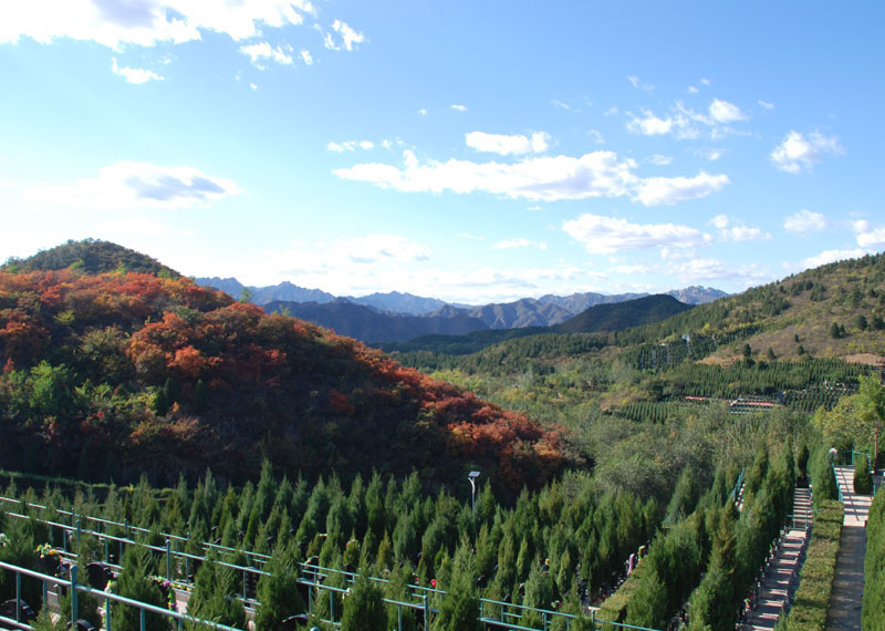 佛山陵园目前墓碑有多少款（佛山陵园电话多少）